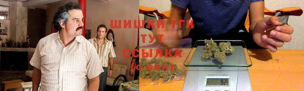 PSILOCYBIN Струнино