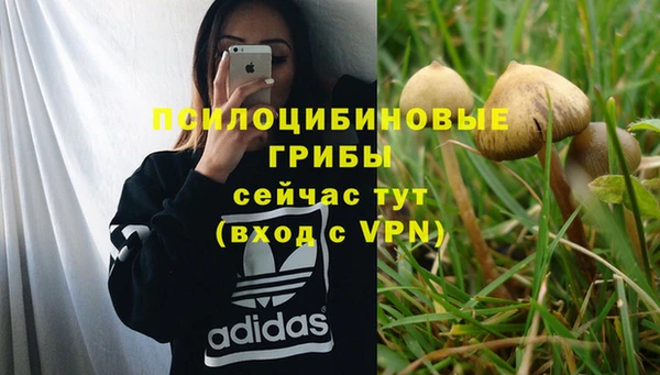 мяу мяу мука Ступино