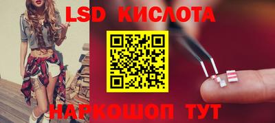 jwh Кингисепп