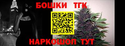 jwh Кингисепп