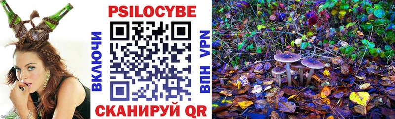 Галлюциногенные грибы Cubensis  Углич 