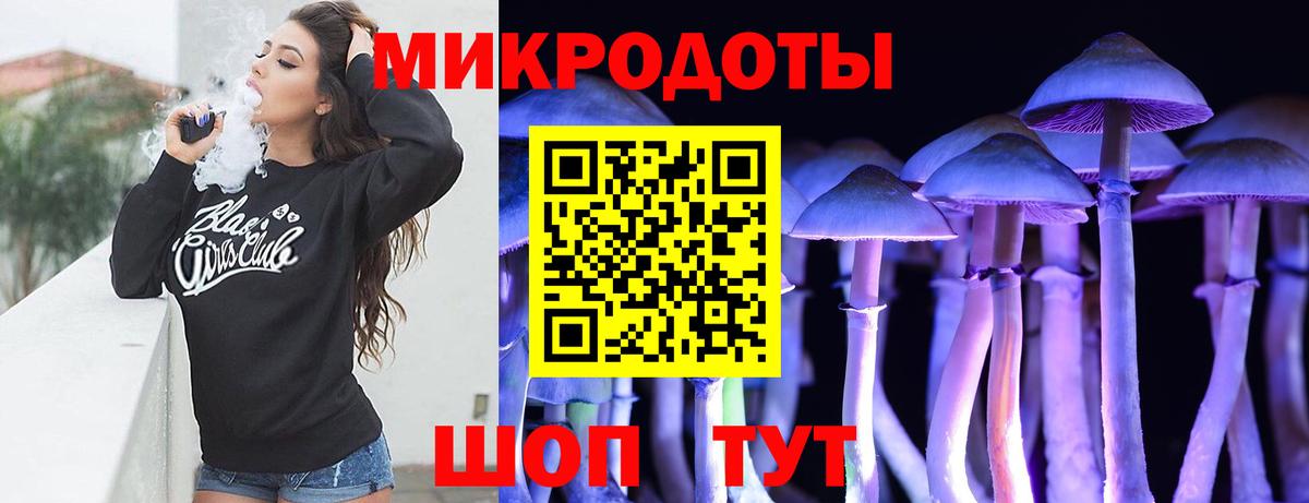 Псилоцибиновые грибы Cubensis Углич
