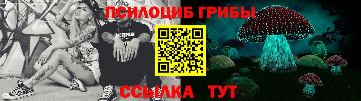 Углич  Псилоцибиновые грибы MAGIC MUSHROOMS  Галлюциногенные грибы Cubensis  Вход с VPN 